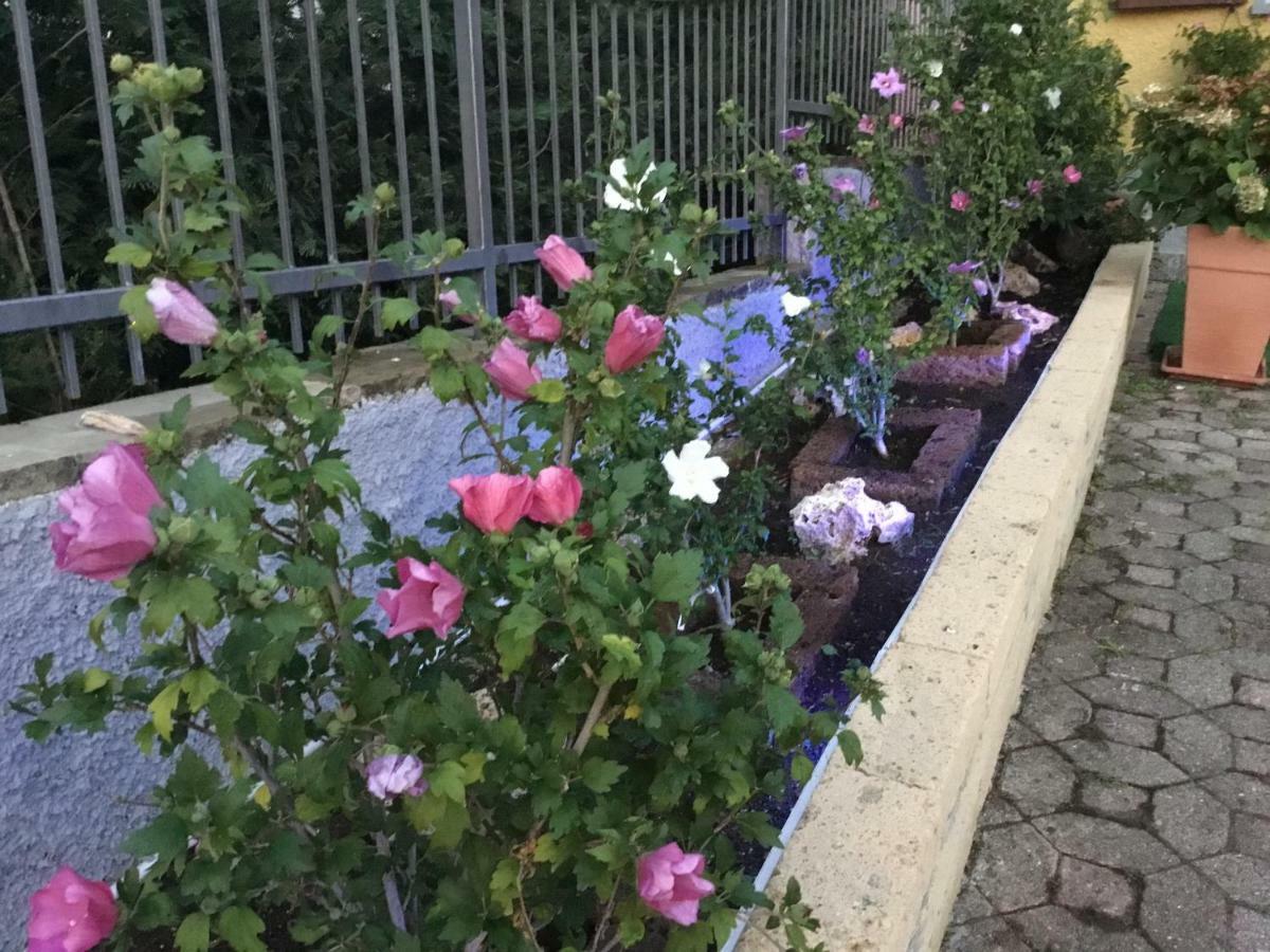 Villa Marilena Ranzanico Kültér fotó